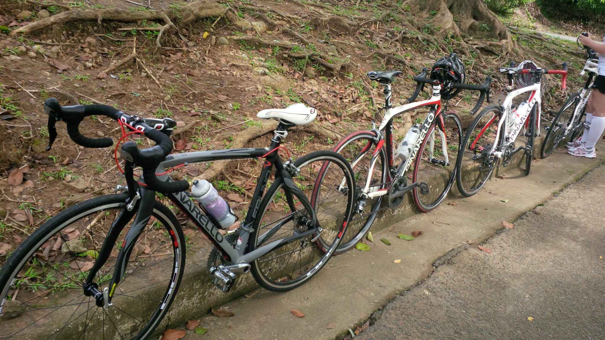 Pinarello Grand Fondo