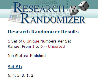 QCIM 2012 randomizer